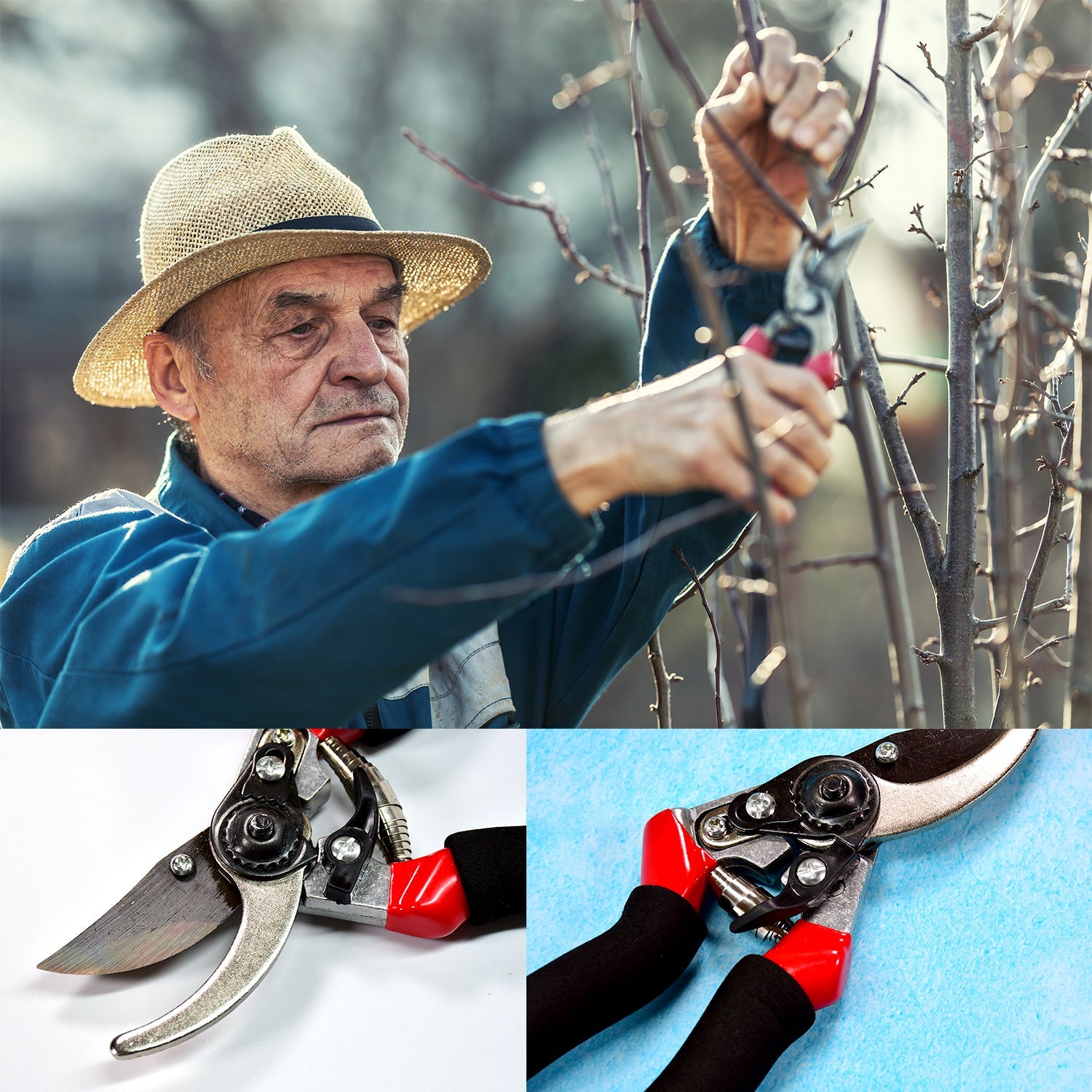 21Cm Red GARDEN SHEARS SHARP CUTTER PRUNERS SCISSOR, PRUNER. - view 7
