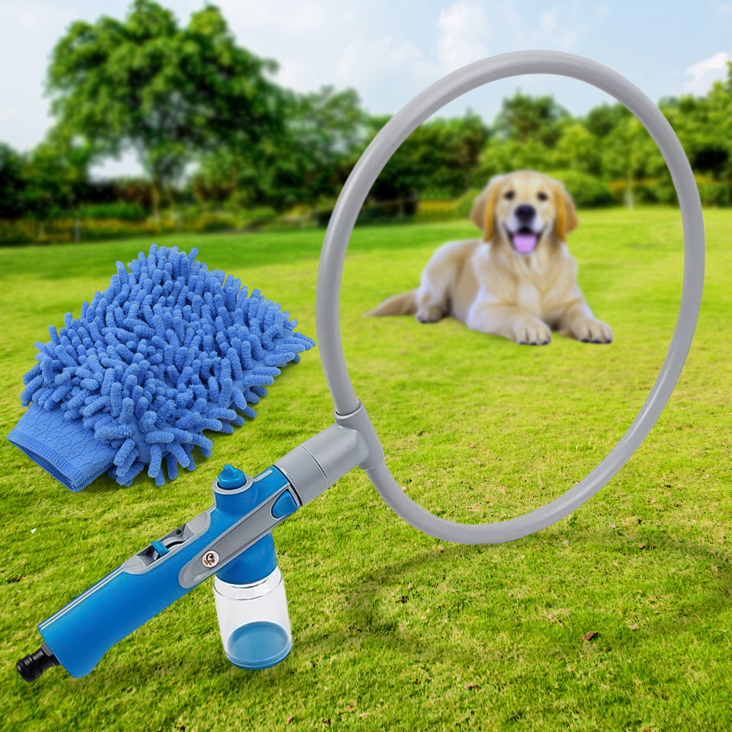 Pet Accessoriesss