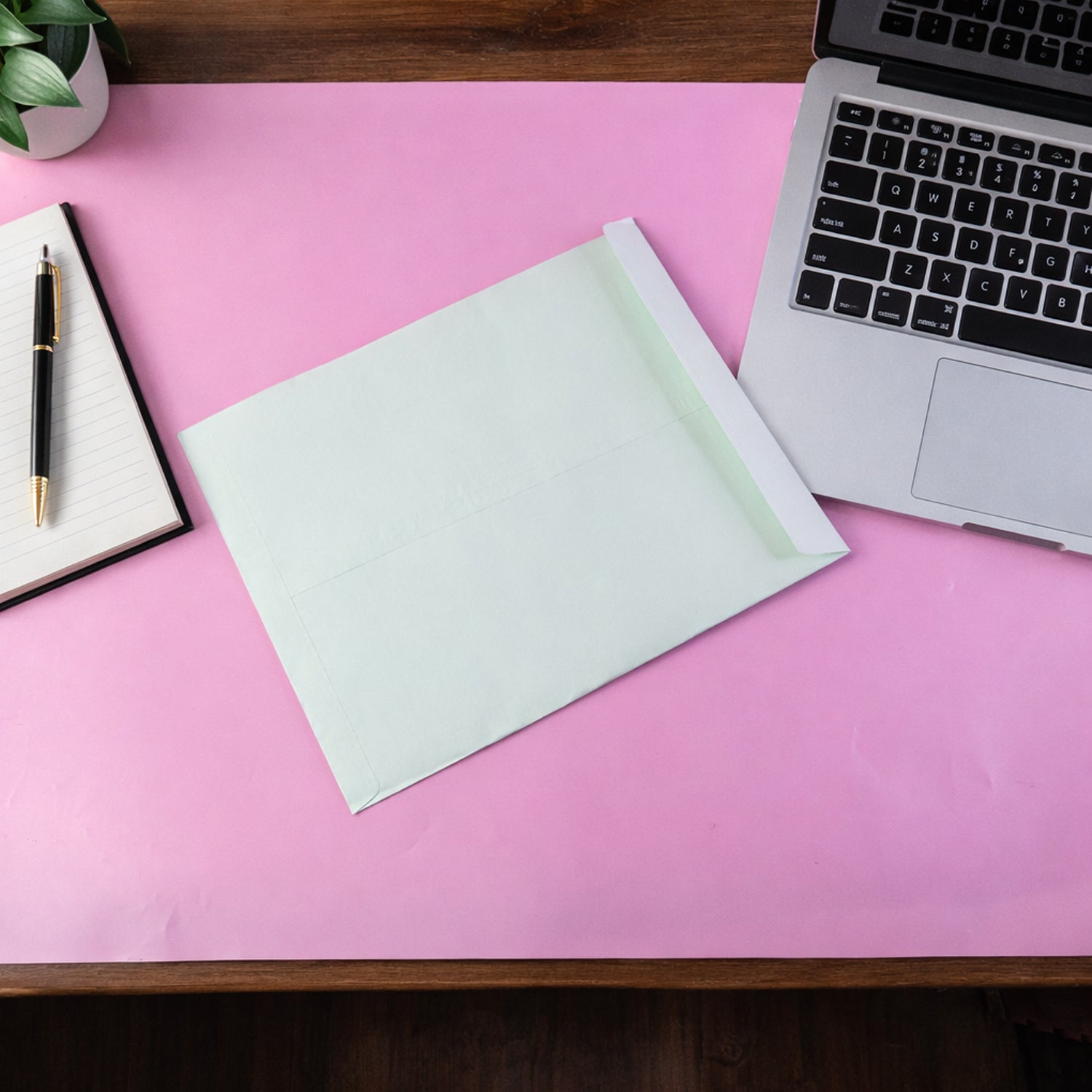 Polynet Premium Card Envelope (28x15cm, 1 Pc)